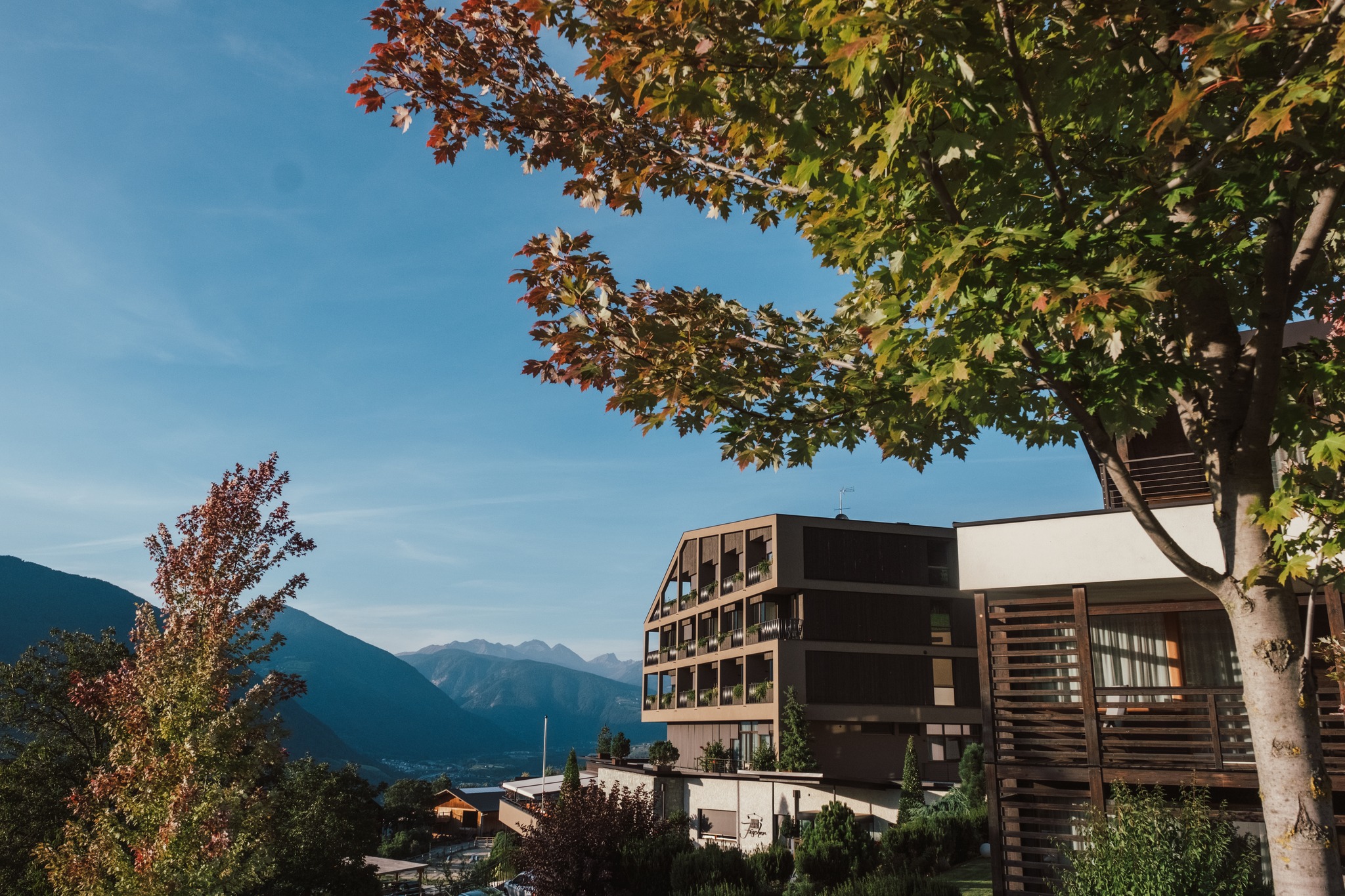 Hotel Fischer