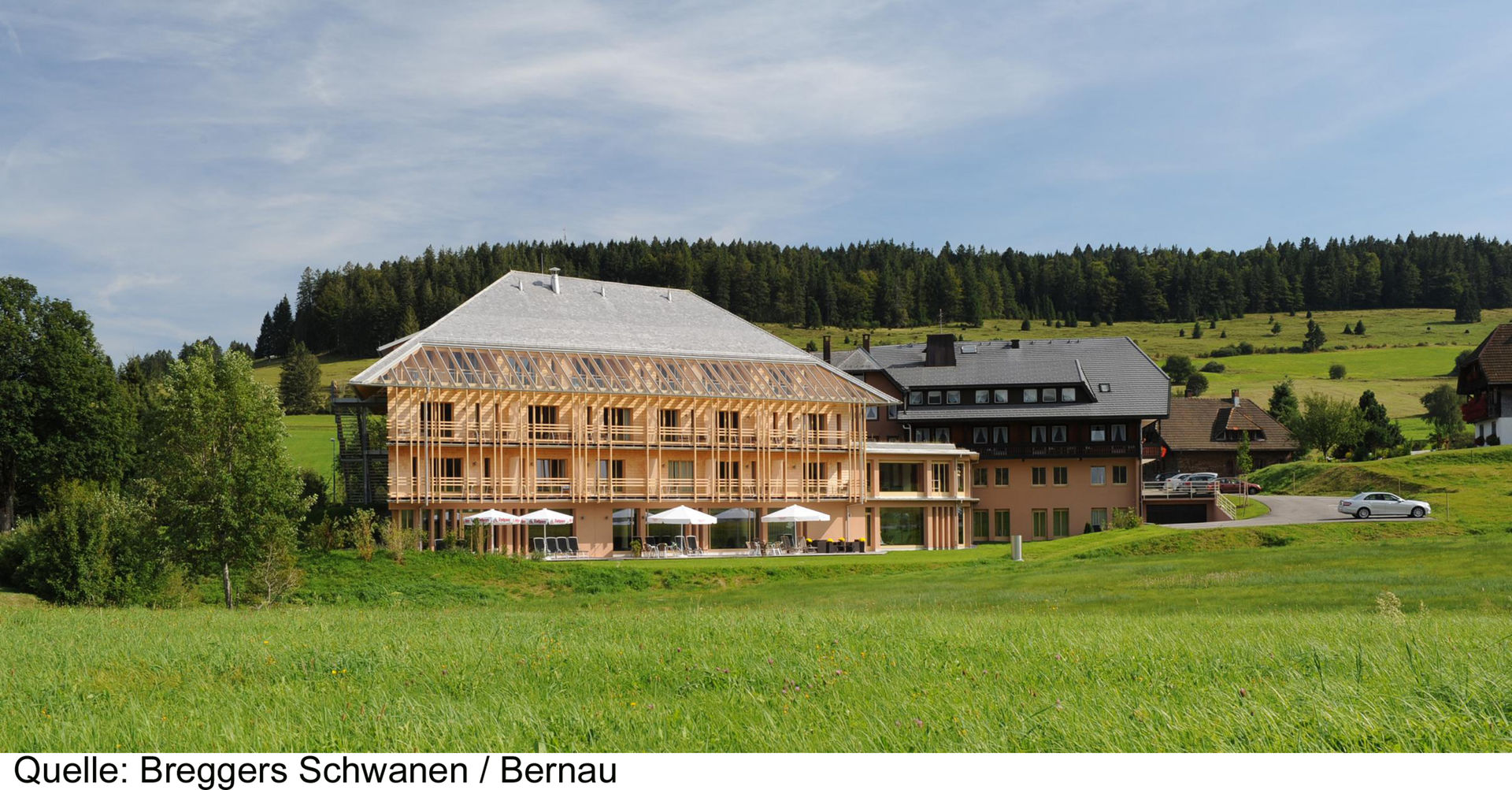 Breggers Schwanen