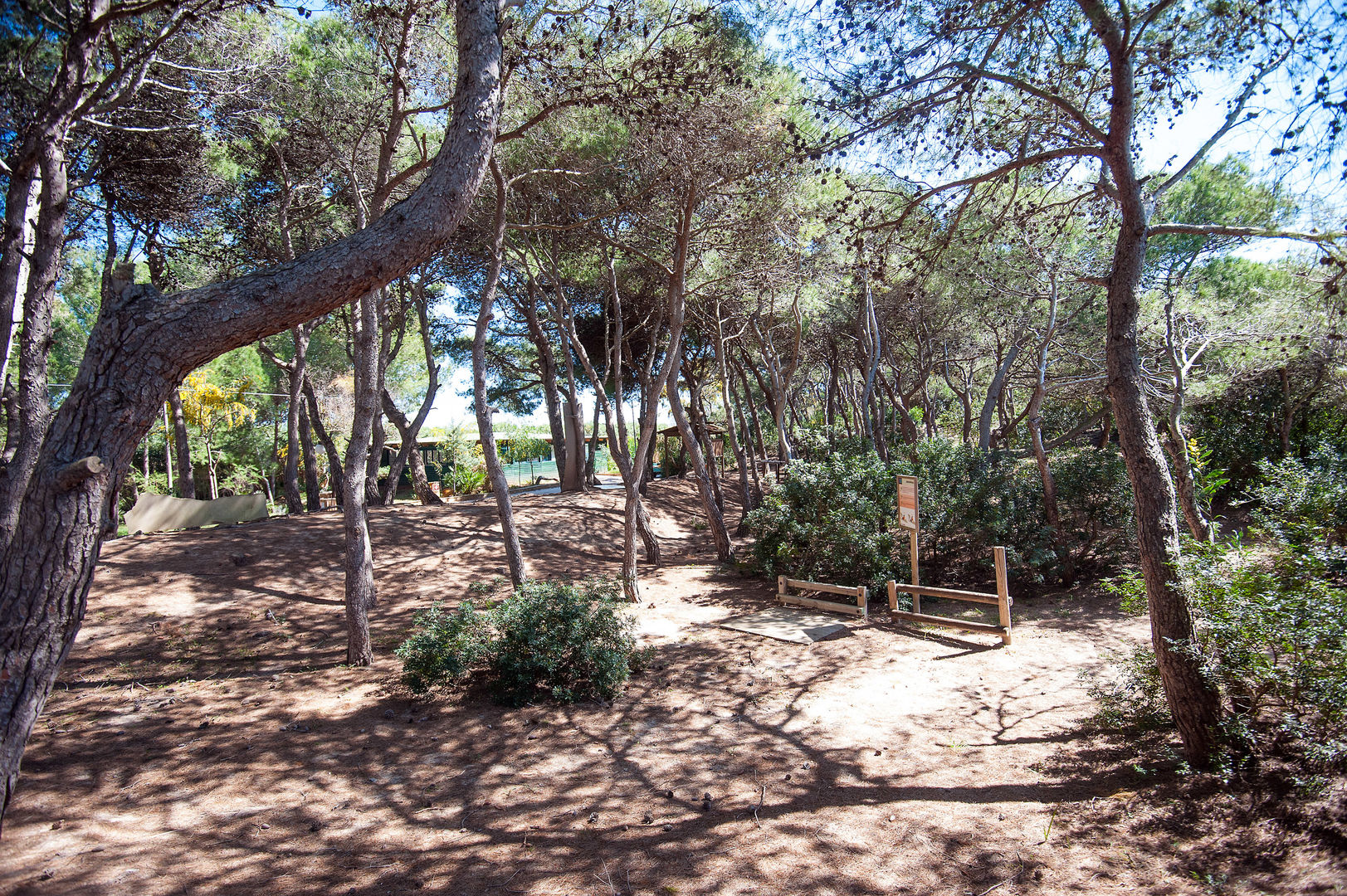 Ecoresort Le Sirene