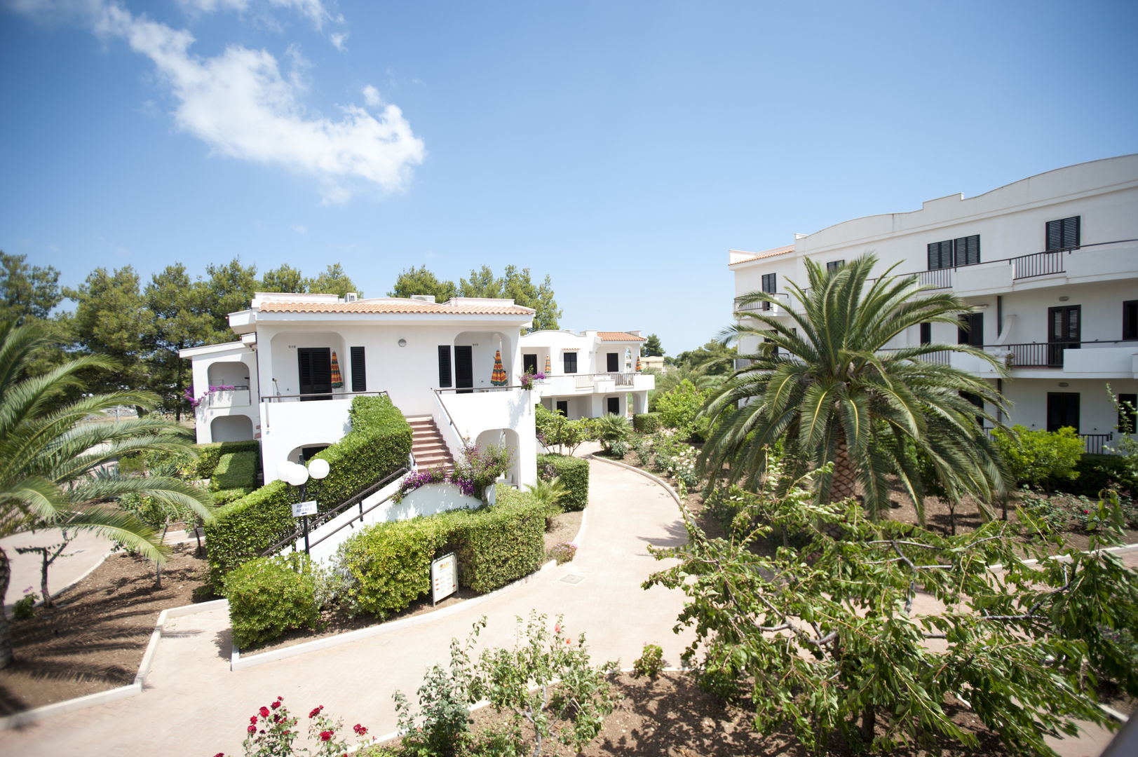 Oasi Club Hotel