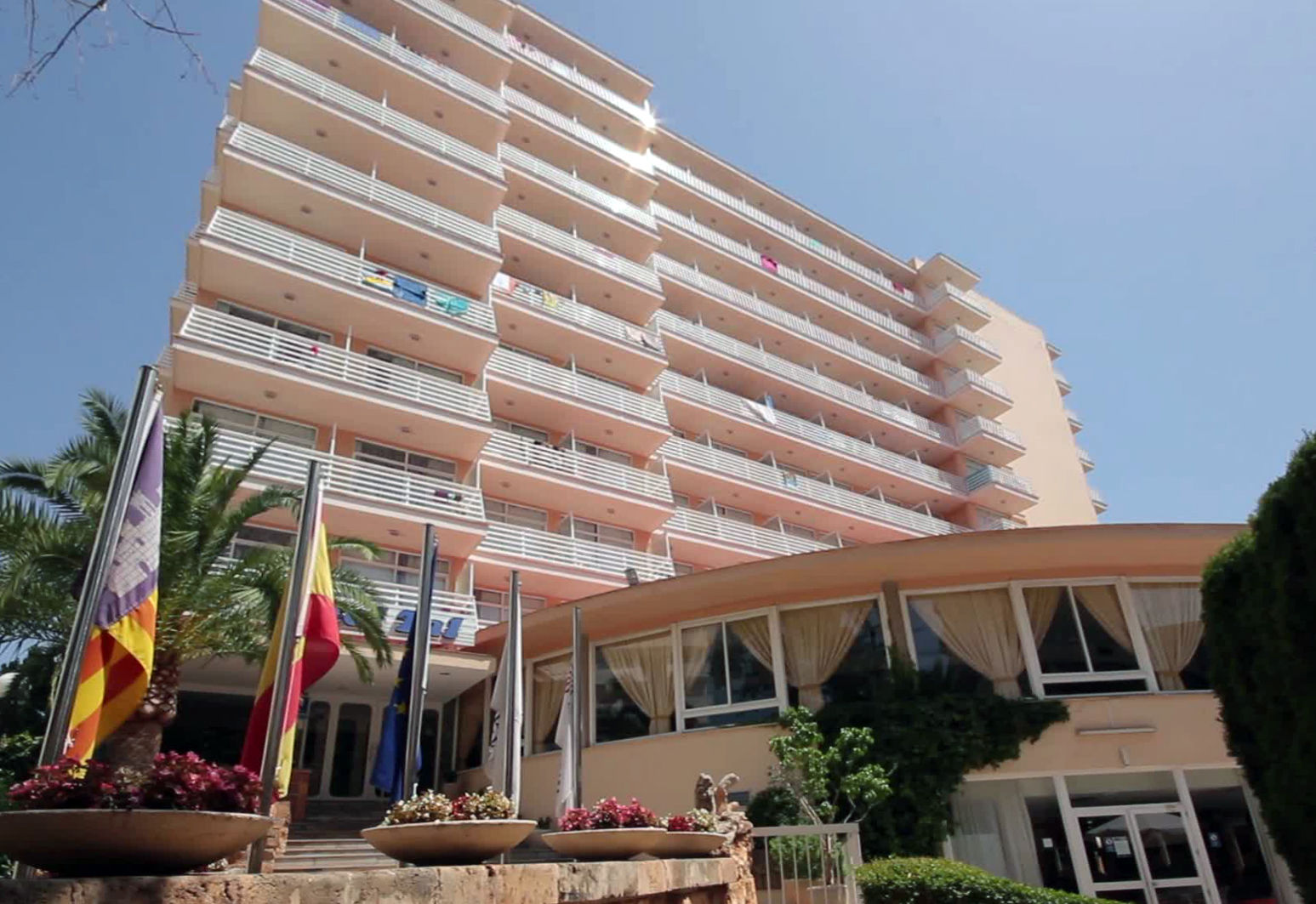 Tal Affiliated by Fergus