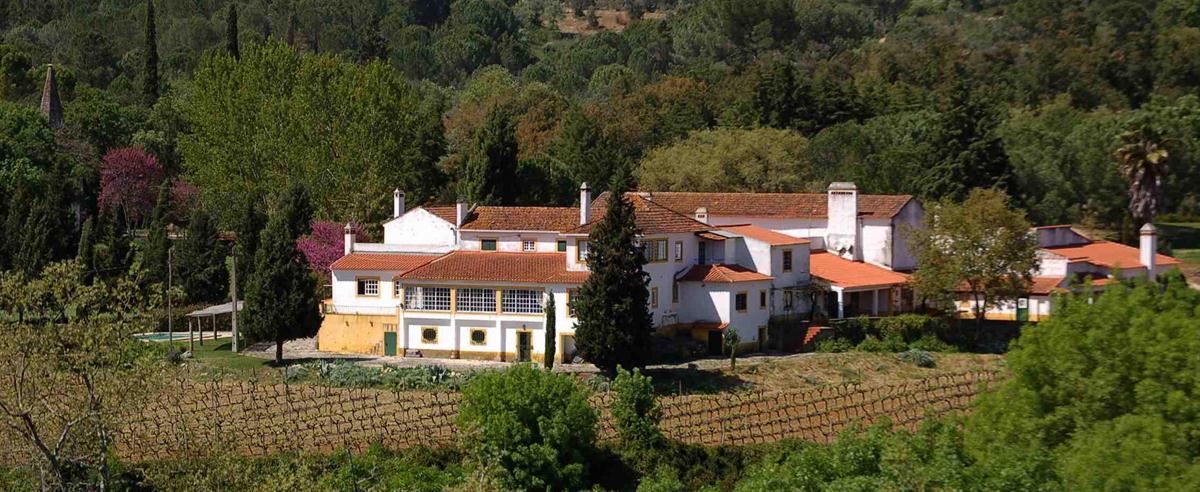 Quinta Da Anuncianda Velha