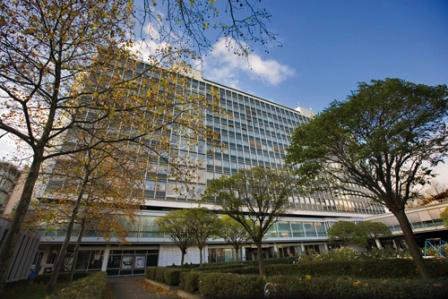 Steigenberger Hotel Köln