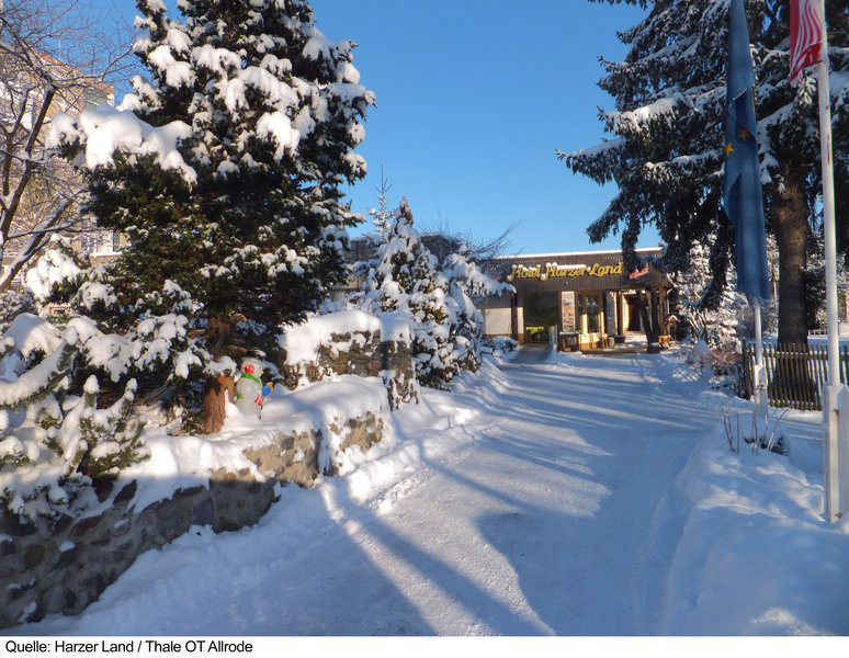 CAREA Harz Hotel Allrode