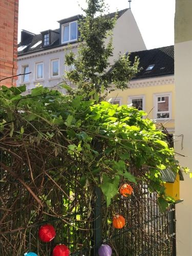Apartment Steuerbord Ottensen