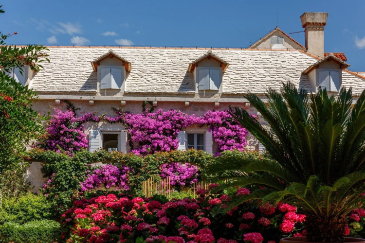 Hotel Lemongarden